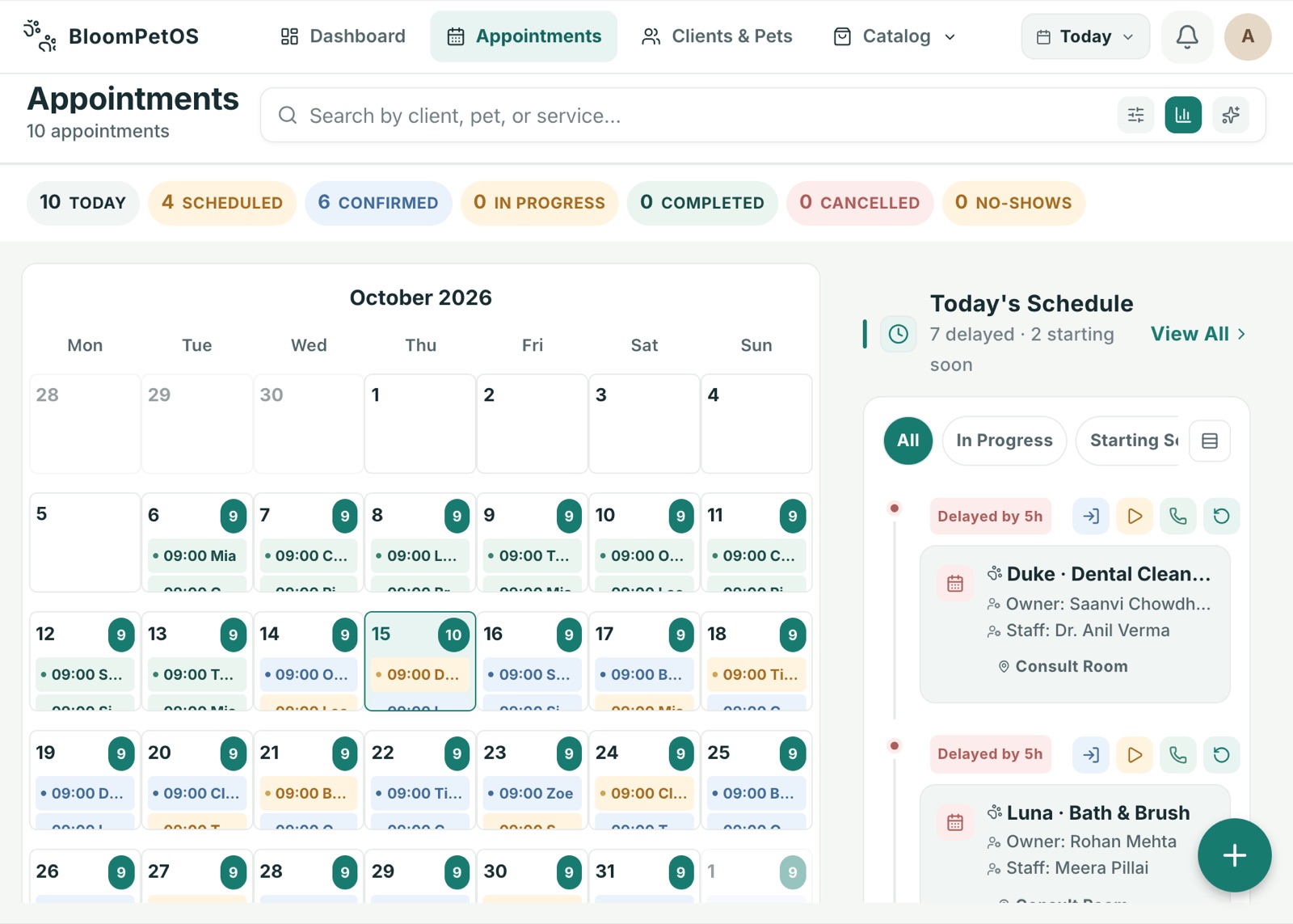 Appointments calendar and today's schedule